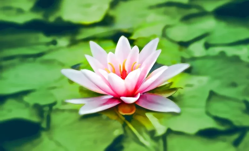 명상