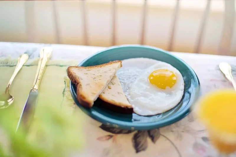 아침 햇볕 쬐기