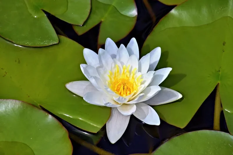 친환경 생활