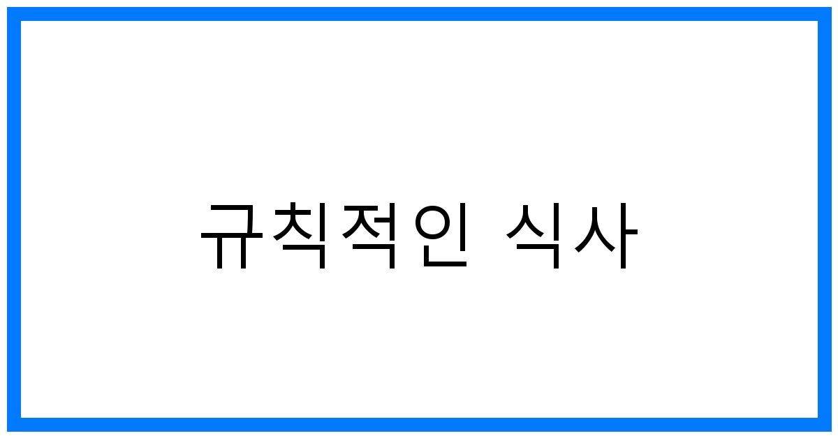 추천! 규칙적인 식사 꿀팁: 건강한 습관 만들기