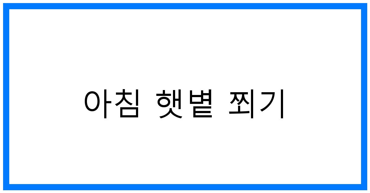 🌞 아침 햇볕 쬐기: 건강 & 활력 UP! 최고의 습관 꿀팁