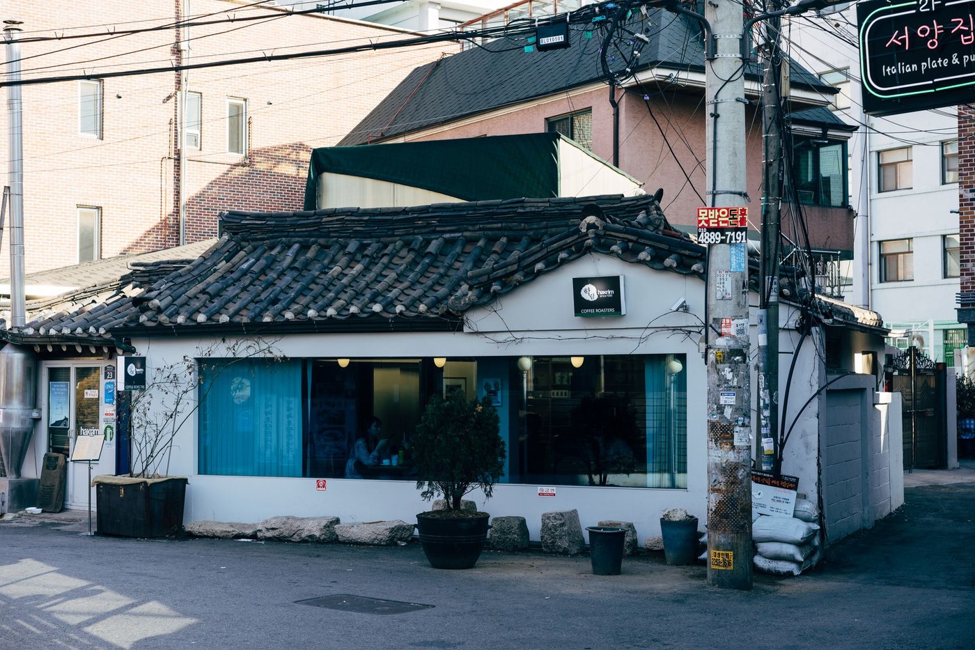 서울 도심 카페에서 노트북으로 인물 검색 결과를 비교하며 확인하는 장면, 검색창에는 '천성호 누구'와 '천성호 최근 소식'이 함께 보이는 화면